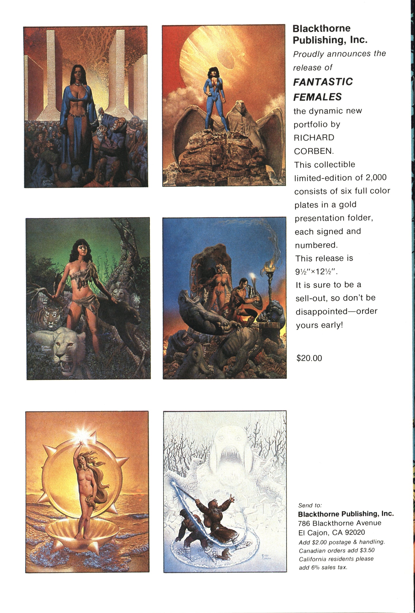 Blackthorne Publishing Sheena 3-D Special 1 4/85 RAW NM-